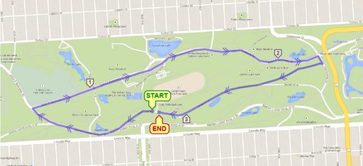 Polo Field 5K (DSE Runners) flyer