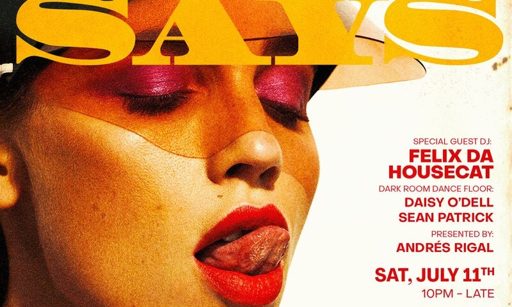 Simon Says: Felix Da Housecat flyer
